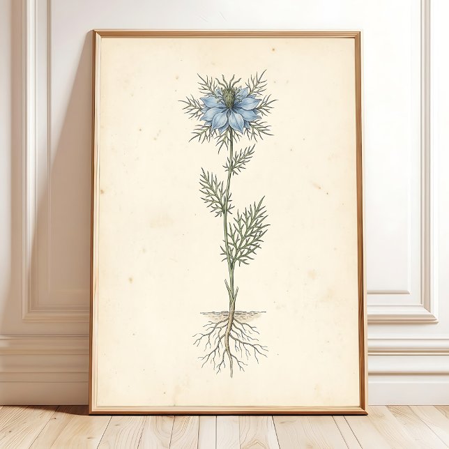 Vintage Botanical Print Canvas Art (Creator Uploaded)