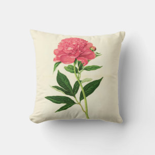 Vintage Botanical Print, Coral Pink Peony Cushion