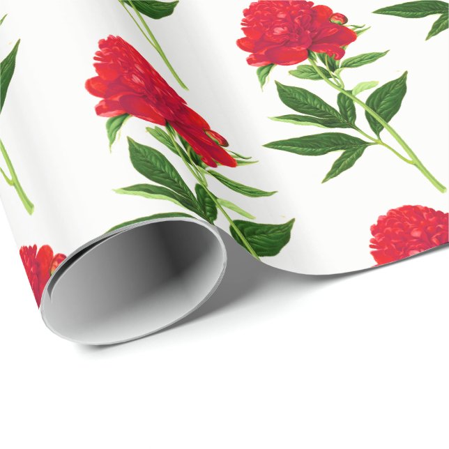 Vintage Botanical Print, Deep Red Peony Wrapping Paper (Roll Corner)