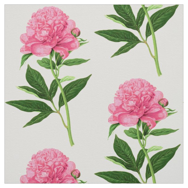Vintage Botanical Print, Large  Pink Peony Fabric (Swatch)