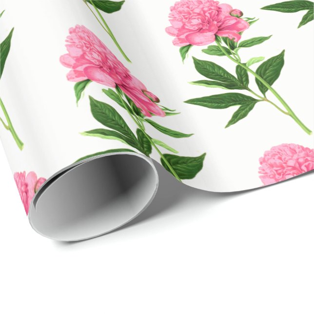 Vintage Botanical Print, Pastel Pink Peony Wrapping Paper (Roll Corner)