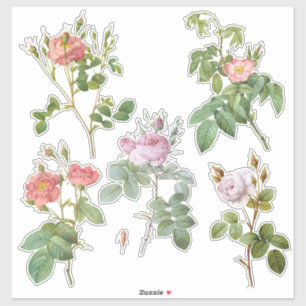 Vintage Botanical Rose Custom-Cut Vinyl Stickers
