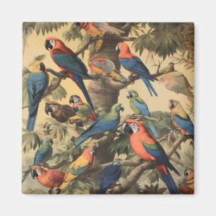 Vintage botanical scene colourful parrots in a tre magnet