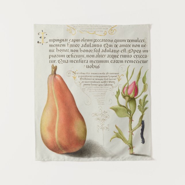 vintage Botanical Tapestry (Front)