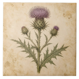 Vintage Botanical Thistle Tile