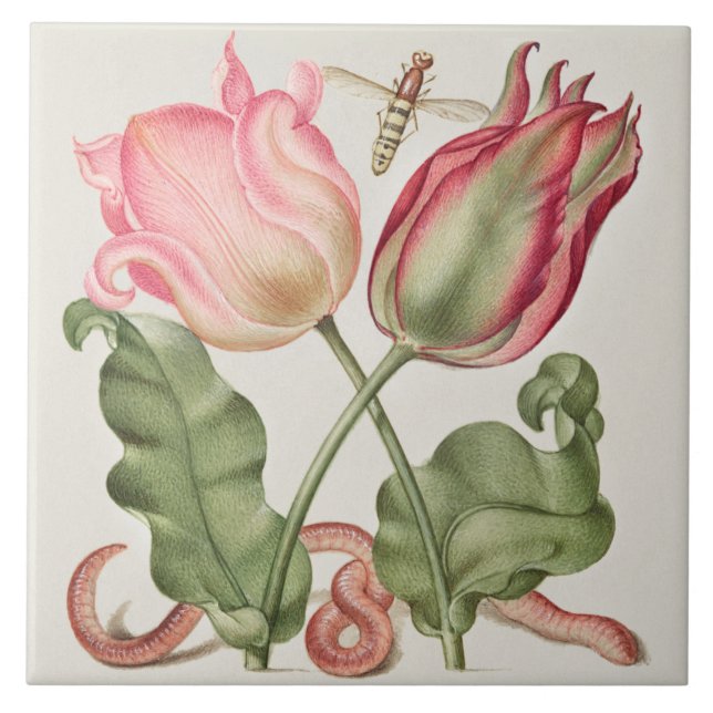 Vintage Botanical Tile (Front)