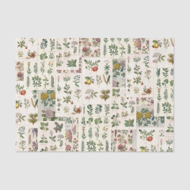 Vintage Botanical Tissue for Decoupage Paper (Front)