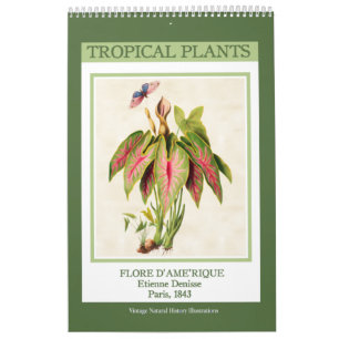 Vintage Botanical Tropical Plants 2026 Calendar