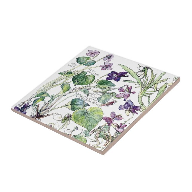 Vintage Botanical Violet Wildflower Flowers Tile (Side)