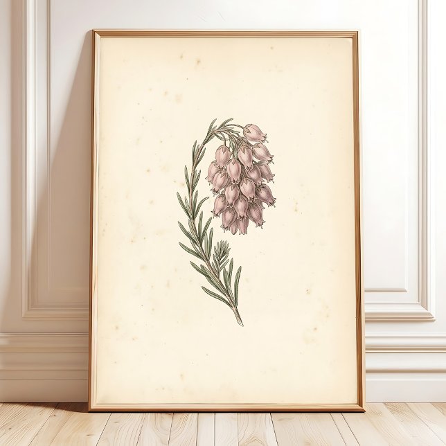Vintage Botanical Wall Art Canvas Print (Creator Uploaded)