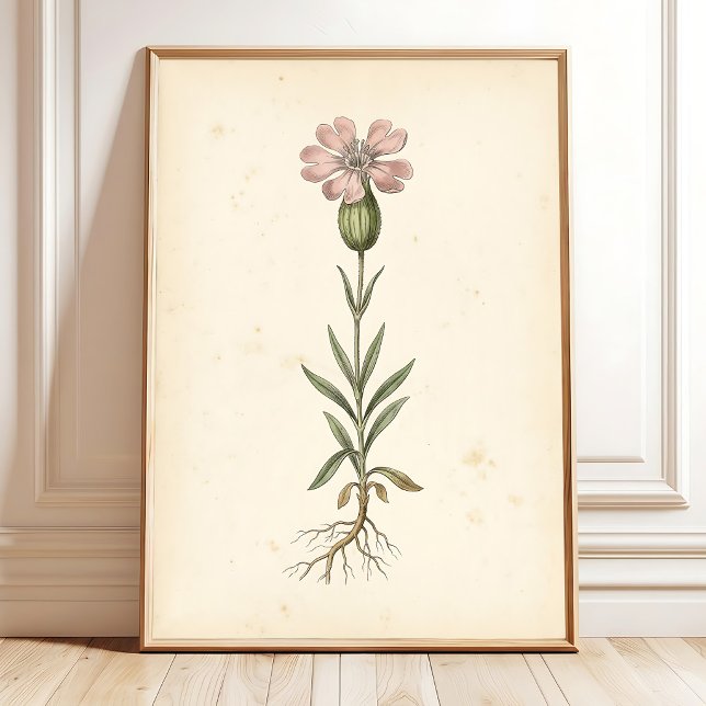 Vintage Botanical Wall Print Gallery (Creator Uploaded)