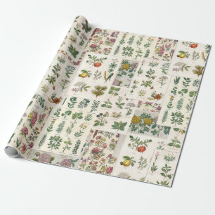 Vintage Botanical Wrap for Decoupage or Gift Wrap