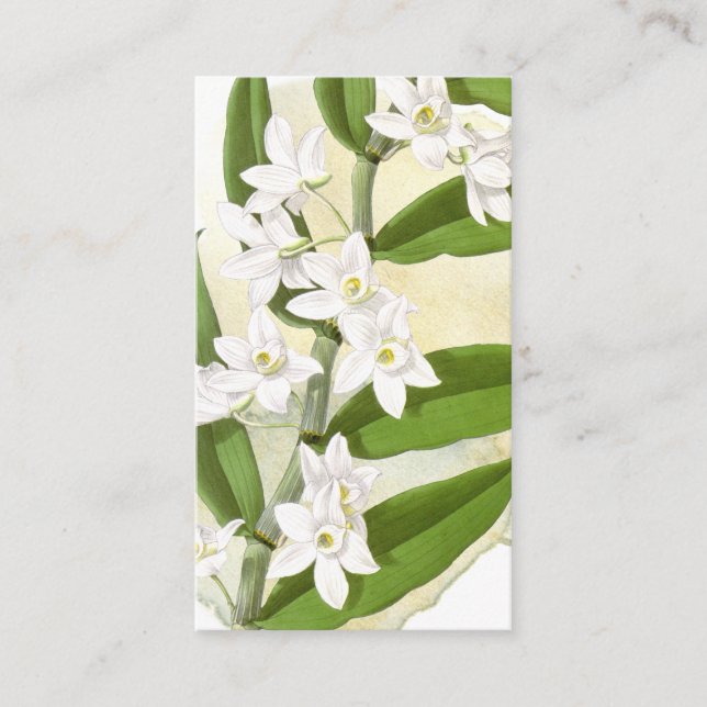 Vintage Botanical Writing Prompt Journal Card (Front)
