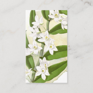 Vintage Botanical Writing Prompt Journal Card