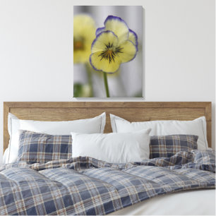 Vintage Botanical - yellow and purple Pansies Canvas Print