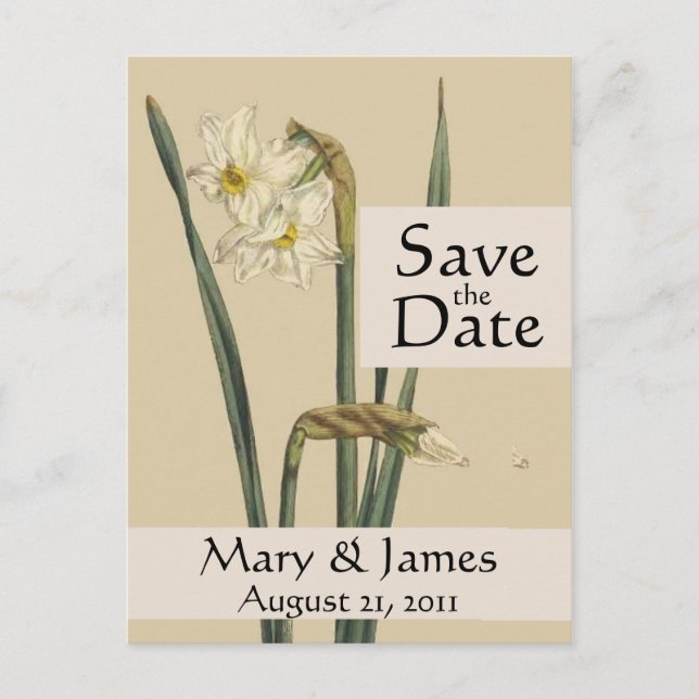 Vintage Botanicals Daffodil Save the Date Postcard (Front)