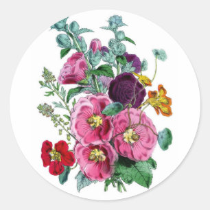 Vintage Botanicals Illustrations Hollyhocks Classic Round Sticker