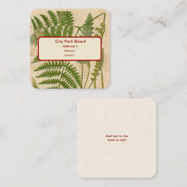Vintage Botanicals Illustrations Square Business Card (Front/Back)