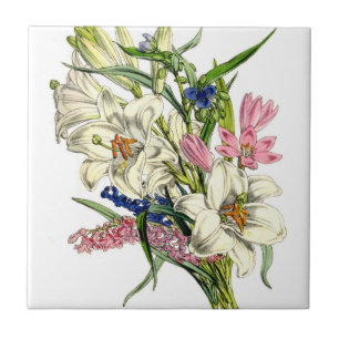 Vintage Botanicals Illustrations Tile