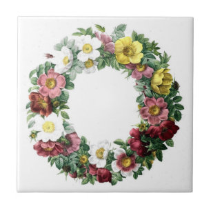 Vintage Botanicals Illustrations Tile