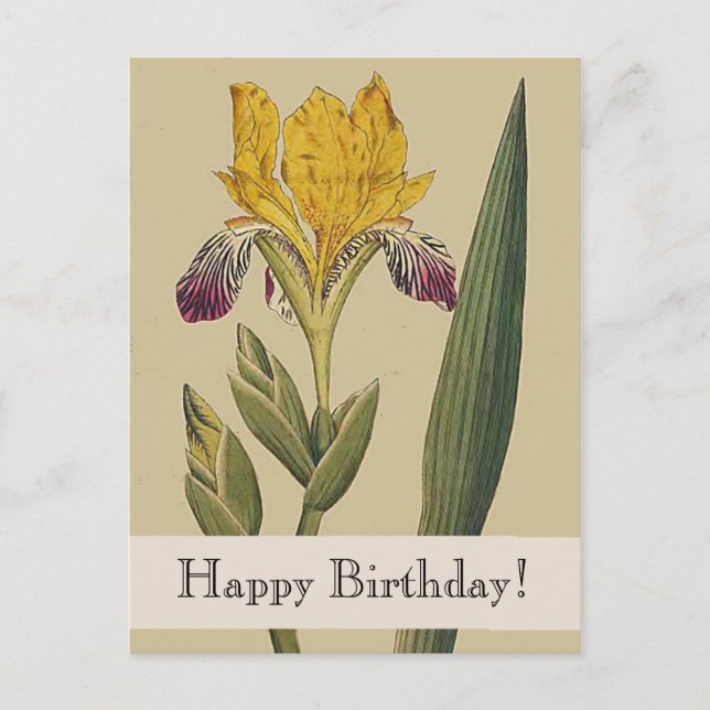 Vintage Botanicals Iris Happy Birthday Postcard (Front)