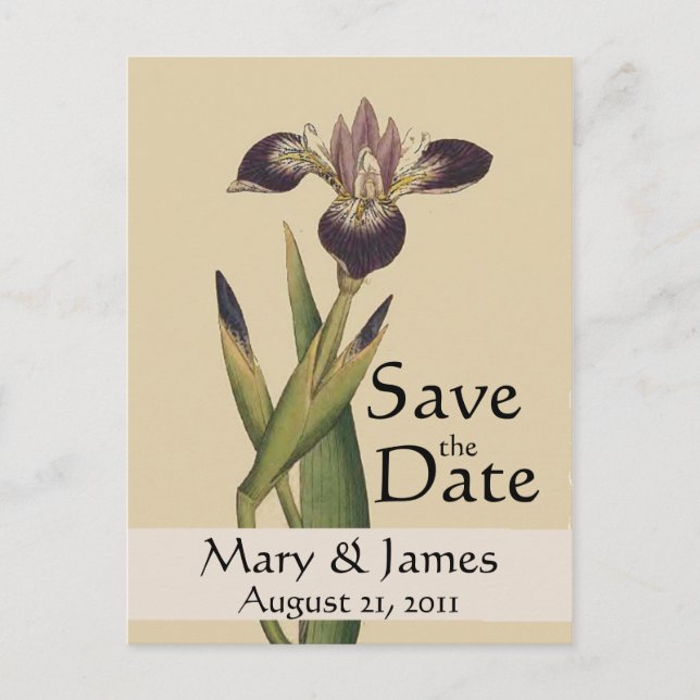 Vintage Botanicals Iris Save the Date Postcard (Front)
