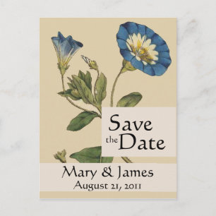 Vintage Botanicals Morning Glory Save the Date Announcement Postcard