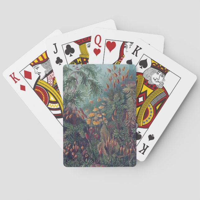 Vintage Botany Scientific Illustration Playing Cards (Back)