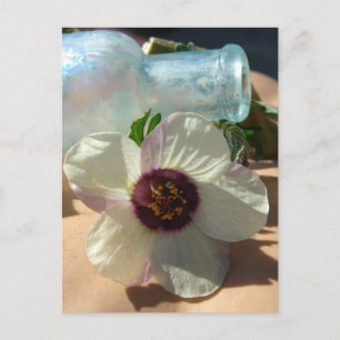 Vintage Bottle and a Pretty Flower Postcard