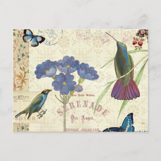 Vintage Bouquet of Flowers, Birds and Butterflies Postcard (Front)