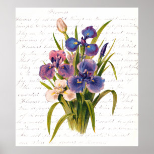 Vintage Bouquet of Lilacs - Text by Clara Balfour Poster