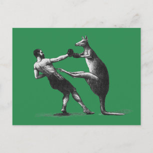 Vintage Boxing kangaroo Postcard