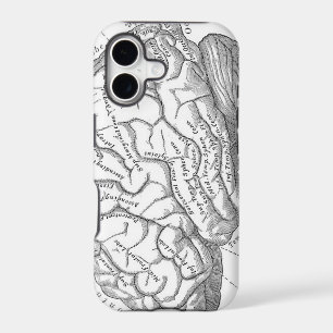 Vintage Brain Anatomy