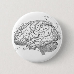Vintage Brain Anatomy 6 Cm Round Badge
