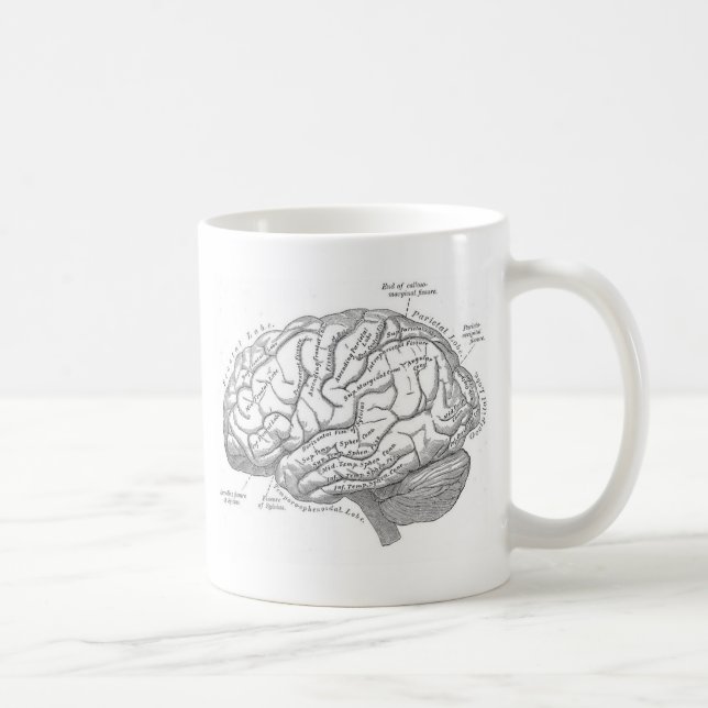 Vintage Brain Anatomy Coffee Mug (Right)