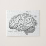 Vintage Brain Anatomy Jigsaw Puzzle<br><div class="desc">Vintage Brain Anatomy</div>
