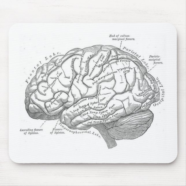 Vintage Brain Anatomy Mouse Pad (Front)