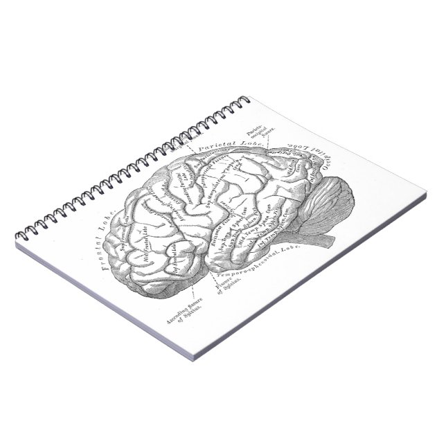 Vintage Brain Anatomy Spiral Notebook (Left Side)