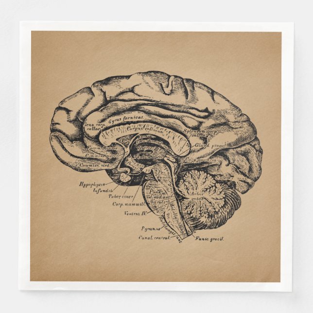 Vintage Brain Diagram Antique Medical Anatomy Art Napkin (Front)