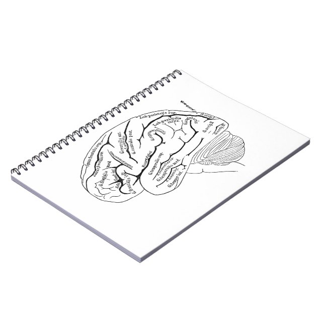Vintage Brain Notebook (Left Side)