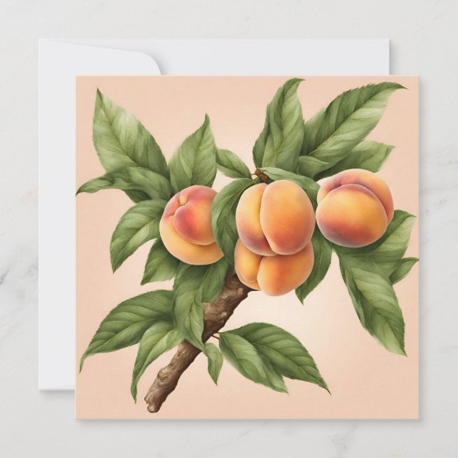 Vintage Branch with Peach Fruit Illustration  Card (Front)