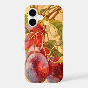 Vintage Branch with Plums
