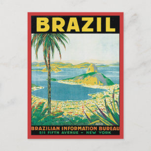 Vintage Brazil Postcard