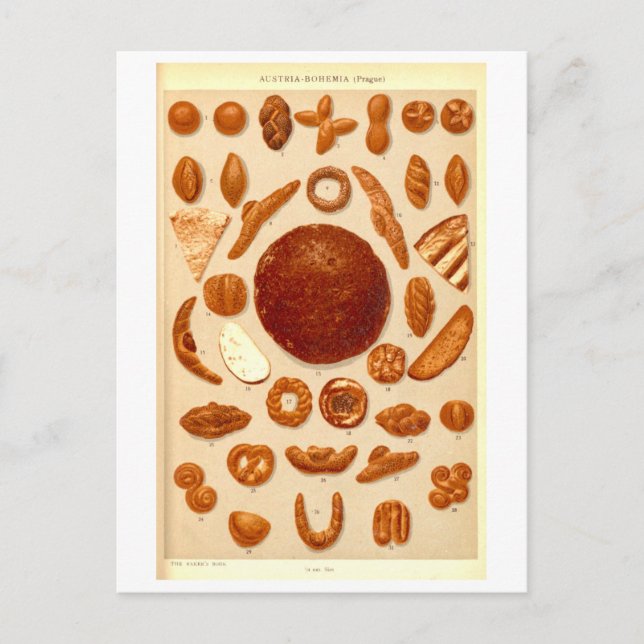 Vintage Breads of Austria-Bohemia Postcard (Front)