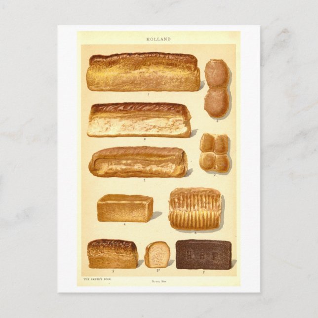 Vintage Breads of Holland Postcard (Front)