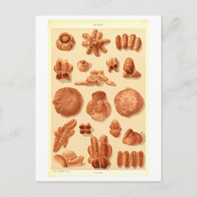 Vintage Breads of Italy Postcard (Front)