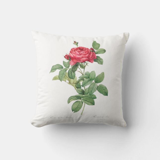 Vintage Bridge Rose Cushion (Front)
