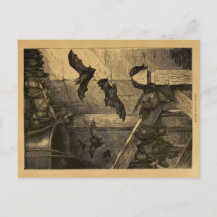 Vintage British Bats Postcard