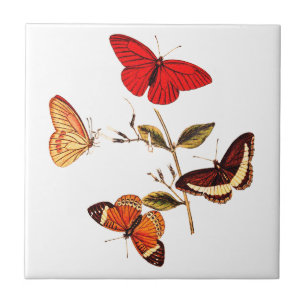 Vintage British Red Butterflies Insect Art Tile