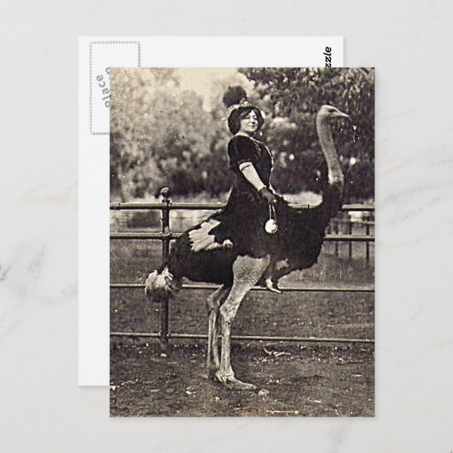 Vintage Broadway Actress Riding an Ostrich Postcard (Front/Back)